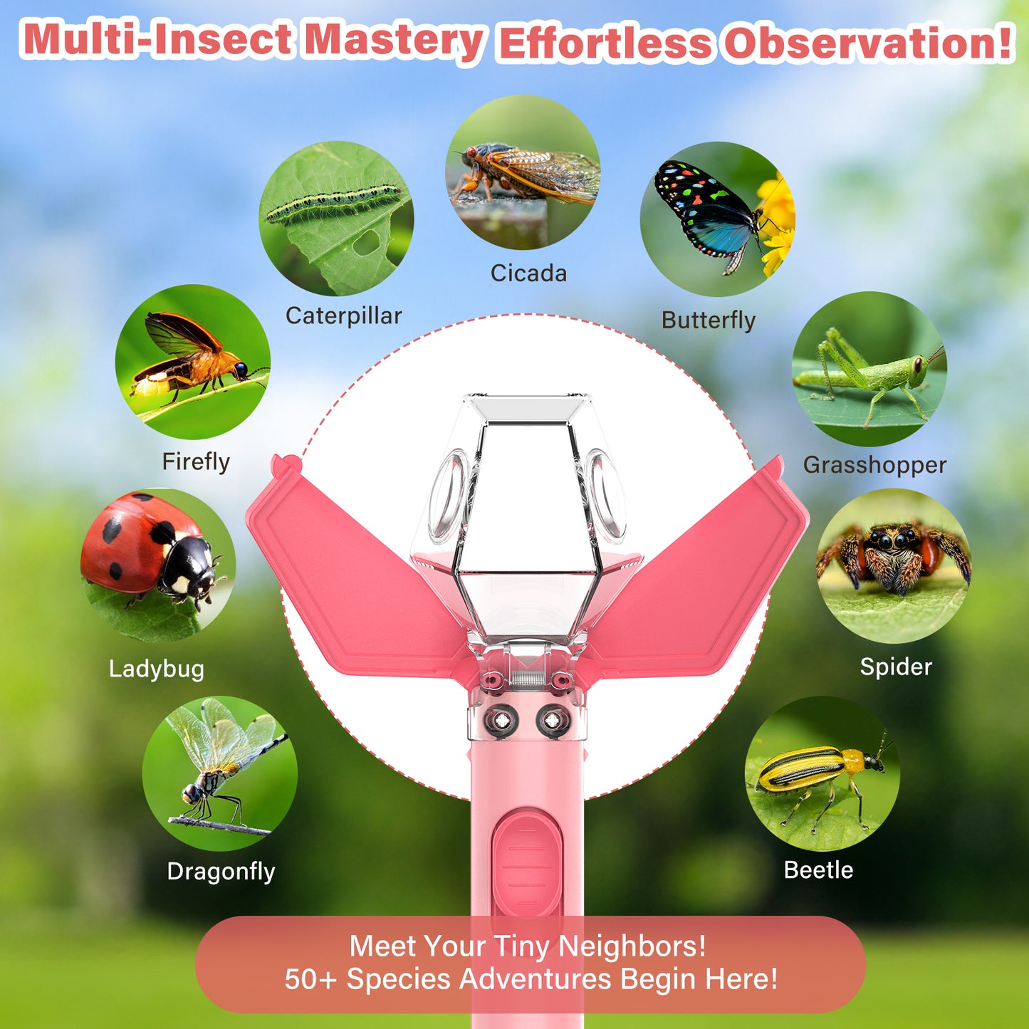 Bug Catcher for Kids, Insect Trap Kit with 6X Magnifier Glass - STEM Educational Exploration Tool for Indoor and Outdoor,Christmas Birthday Gifts Toys for Adults, Boys, and Girls  2PCS