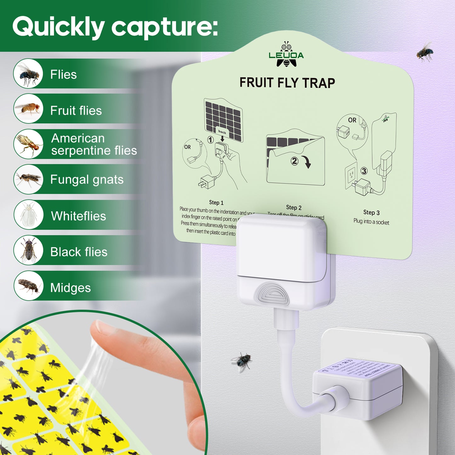 Leuoa Fruit Fly Traps for Indoors, Plug in UVA Fly Catcher for Kitchen and Dining Room 1 Device with 5 Yellow Glue Cards
