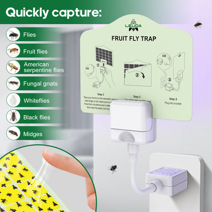 Leuoa Fruit Fly Traps for Indoors, Plug in UVA Fly Catcher for Kitchen and Dining Room 1 Device with 5 Yellow Glue Cards