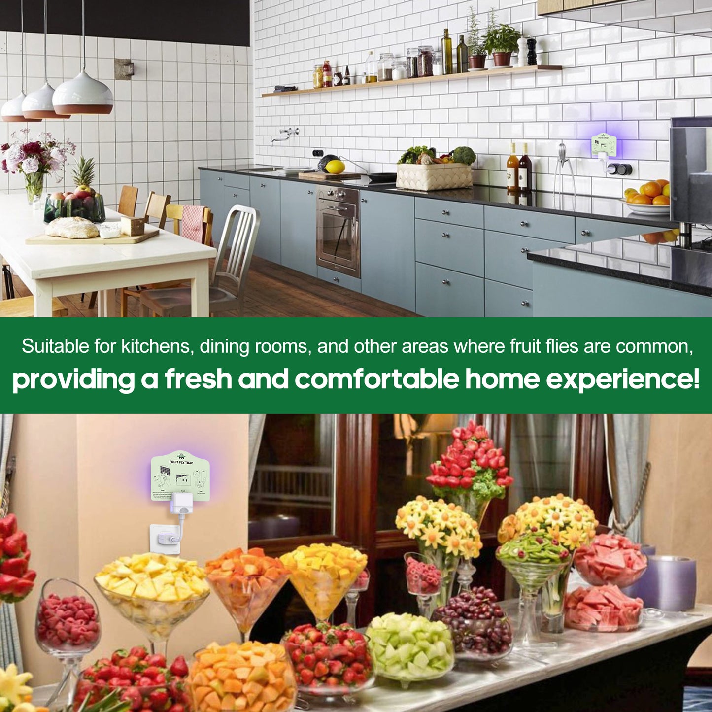Leuoa Fruit Fly Traps for Indoors, Plug in UVA Fly Catcher for Kitchen and Dining Room 1 Device with 5 Yellow Glue Cards