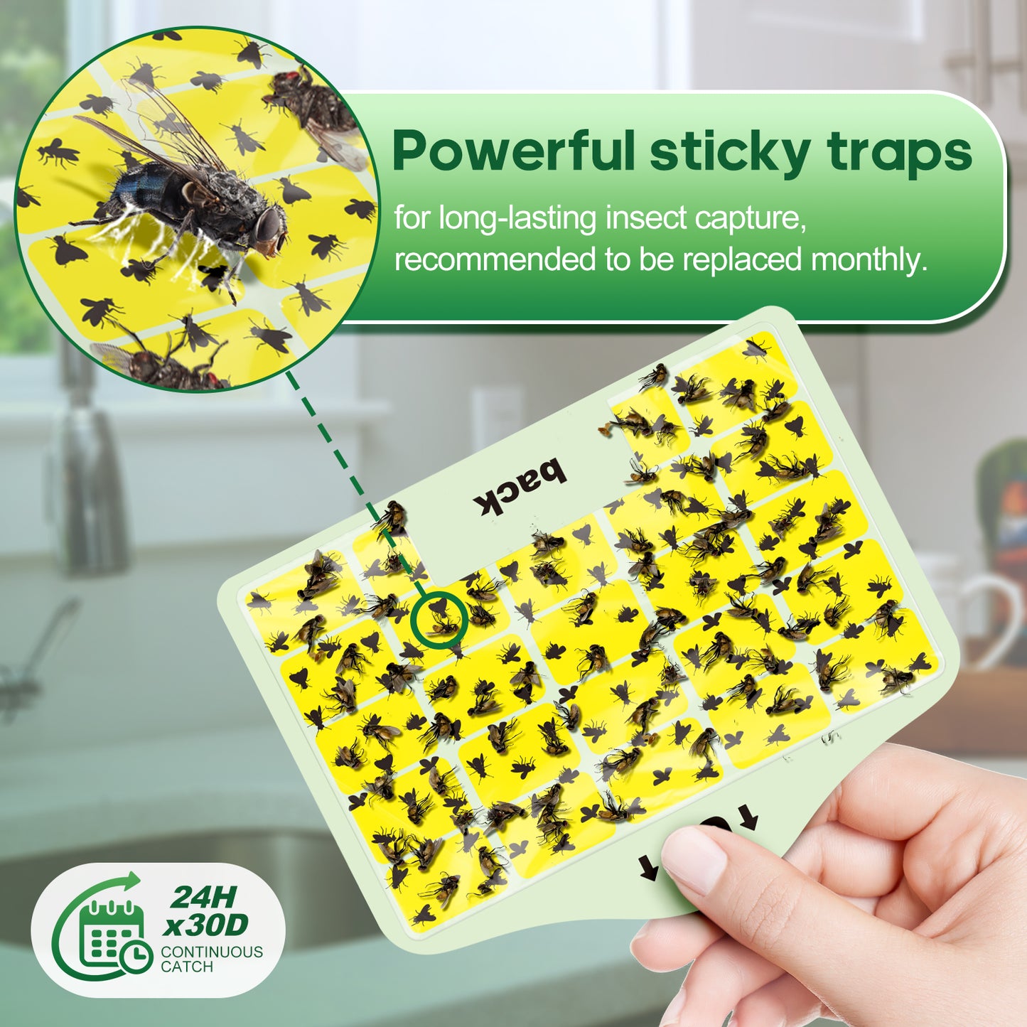 Leuoa Fruit Fly Traps for Indoors, Plug in UVA Fly Catcher for Kitchen and Dining Room 1 Device with 5 Yellow Glue Cards